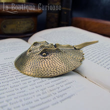 Charger l'image dans la galerie, Décoration cabinet de curiosités statuette laiton limule fossile préhistorique presse papier style steampunk vintage ancien collection Toulouse