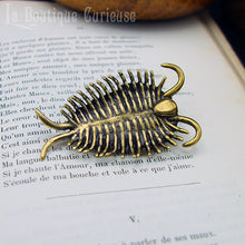 Load image into Gallery viewer, Figurine décoration trilobite fossile paléontologie cabinet de curiosités Toulouse