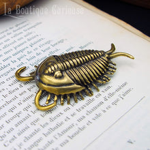 Load image into Gallery viewer, Figurine décoration trilobite fossile paléontologie cabinet de curiosités Toulouse