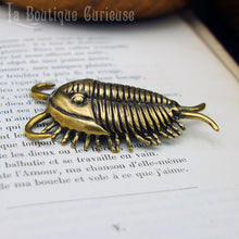 Load image into Gallery viewer, Figurine décoration trilobite fossile paléontologie cabinet de curiosités Toulouse