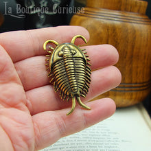 Load image into Gallery viewer, Figurine décoration trilobite fossile paléontologie cabinet de curiosités Toulouse