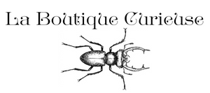 Boutique de bijoux gothiques wicca steampunk gothique victorien viking ésotériques scarabée lucane insecte