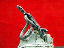 Load image into Gallery viewer, Intertwined Serpents Ring