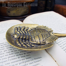 Load image into Gallery viewer, Décoration cabinet de curiosités statuette laiton limule fossile préhistorique presse papier style steampunk vintage ancien collection Toulouse