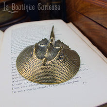 Load image into Gallery viewer, Décoration cabinet de curiosités statuette laiton limule fossile préhistorique presse papier style steampunk vintage ancien collection Toulouse