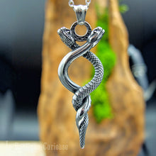 Laden Sie das Bild in den Galerie-Viewer, Pendentif gothique alchimique représentant deux serpents entrelacés en acier inoxydable
