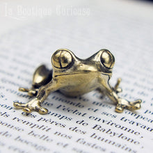 Laden Sie das Bild in den Galerie-Viewer, Figurine en laiton cabinet de curiosites, rainette aux yeux rouges, decoration grenouille Agalchnis callidryas porte-bonheur.