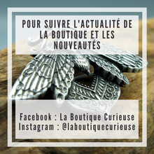 Load image into Gallery viewer, Suivez l&#39;actualité et les nouveautés de La Boutique Curieuse sur Facebook et Instagram