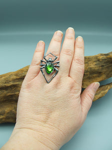 Spider adjustable ring