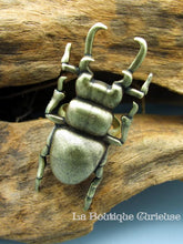 Charger l&#39;image dans la galerie, Bague ajustable scarabée lucane argentée ou bronze