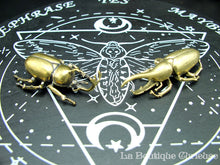 Laden Sie das Bild in den Galerie-Viewer, Beetle Dynast Hercule aus massivem Messing