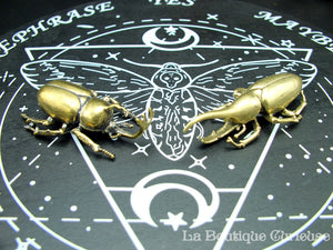 Beetle Dynast Hercule solid brass