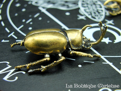 Brass Japanese Rhinoceros Beetle