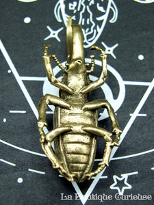 Beetle Dynast Hercule aus massivem Messing