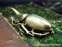 Load image into Gallery viewer, Beetle Dynast Hercule solid brass