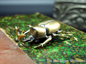 Brass Japanese Rhinoceros Beetle
