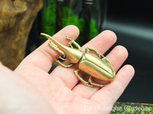 Load image into Gallery viewer, Beetle Dynast Hercule solid brass