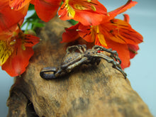 Laden Sie das Bild in den Galerie-Viewer, Pendentif gothique araignée réaliste en bronze fait main France. Pendentif artisanal Toulouse mygale tarentule pour homme et femme.