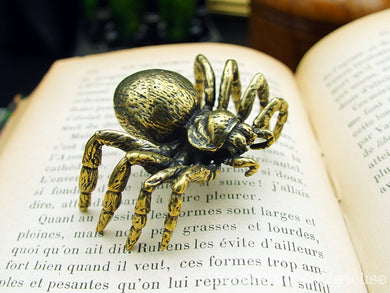 Figurine décoration laiton araignée type mygale tarentule arachnide cabinet de curiosités entomologie Toulouse 