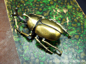 Figurine laiton scarabée Allomyrina dichotoma décoration insecte cabinet de curiosités entomologie Toulouse