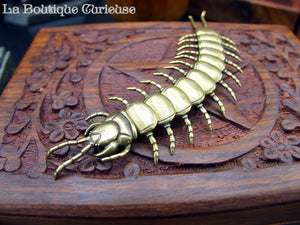 Figurine décoration laiton scolopendre articulé sur boîte pentacle insecte cabinet de curiosités entomologie Toulouse 